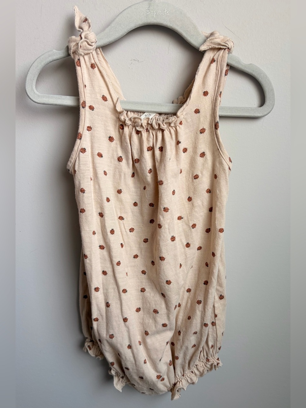 Rylee cru ladybug bubble romper